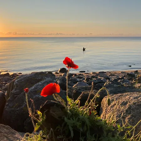 Brodersby-schönhagen: Baltic Coast Retreat For 4 * Brodersby-Goltoft